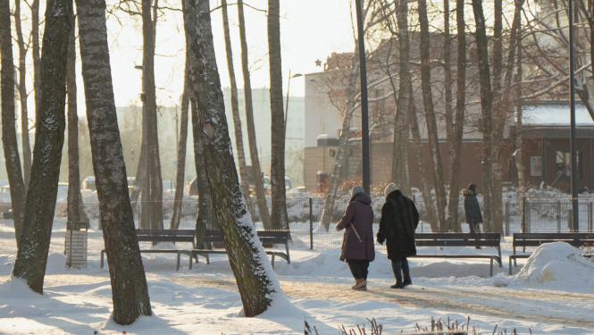 Sievites pastaigājas parkā ziemā