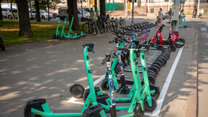 Skrejriteņi novietoti rindā