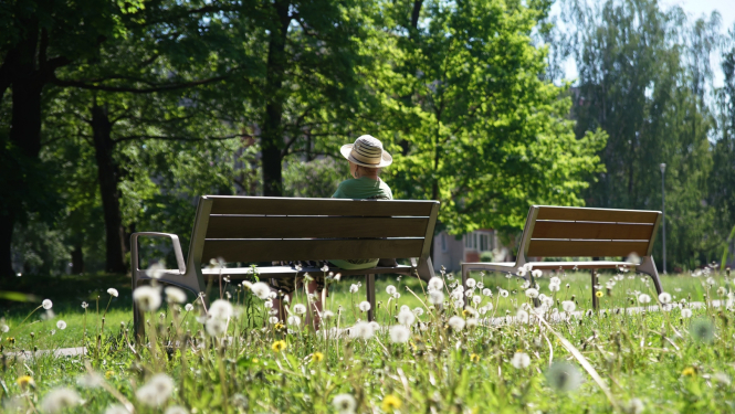 Soliņi Duntes ielā