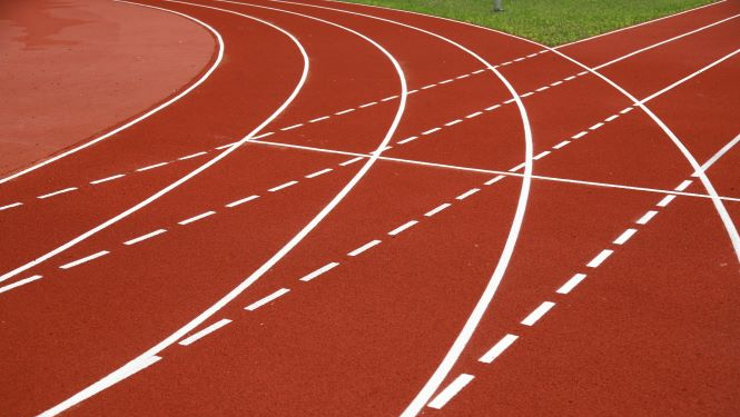 Stadiona skrejceliņa attēls