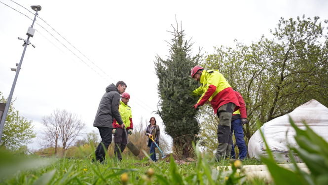 Stāda egli apkaimē
