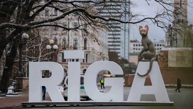 Straumes kaķis sēž uz Rīgas burtiem