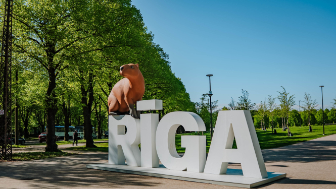 Straumes kapibara uz Rīgas burtiem