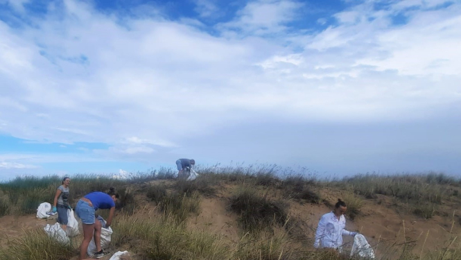 Cilvēki talkā lasa Tatārijas salātu