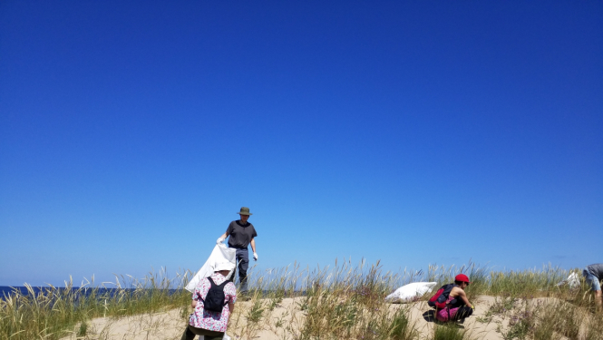 Tatārijas salata talka pludmalē