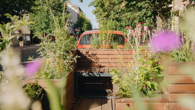 Tērbatas ielas apstādījumi