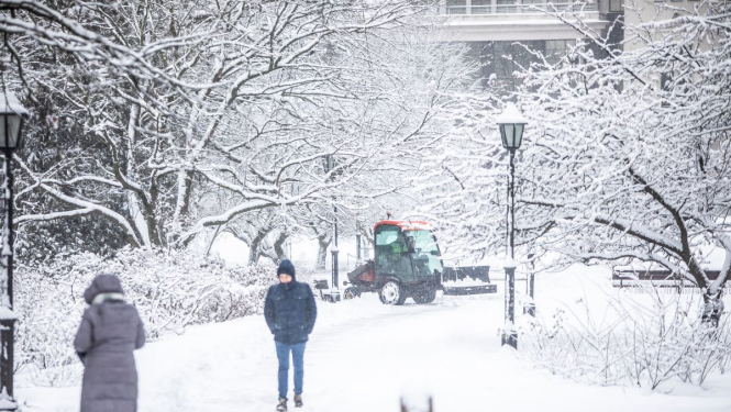 Traktors tīra sniegu