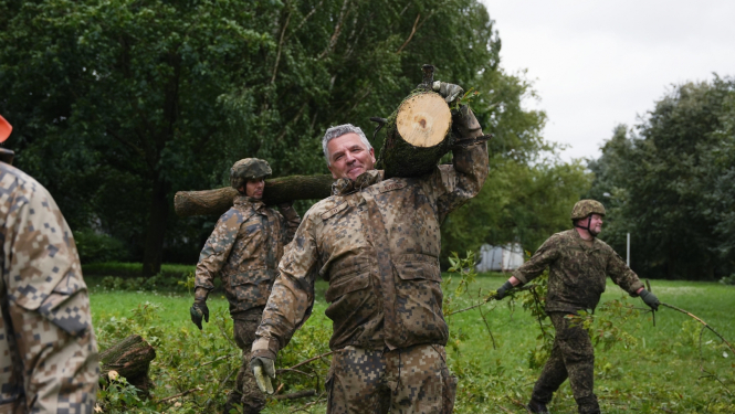 Nes sazāģētu koku