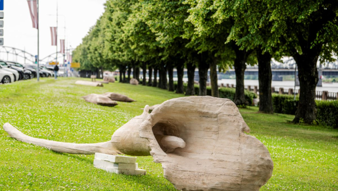 Vides objekti krastmalā