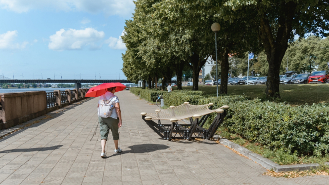 Vides objekts “Laika upes liecinieki” 11.novembra krastmalā