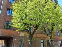 Ēka Sarkandaugavas iela 33