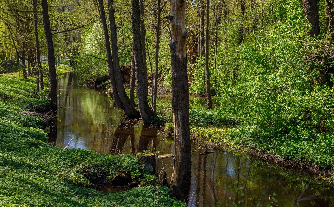  Bieriņu apkaime