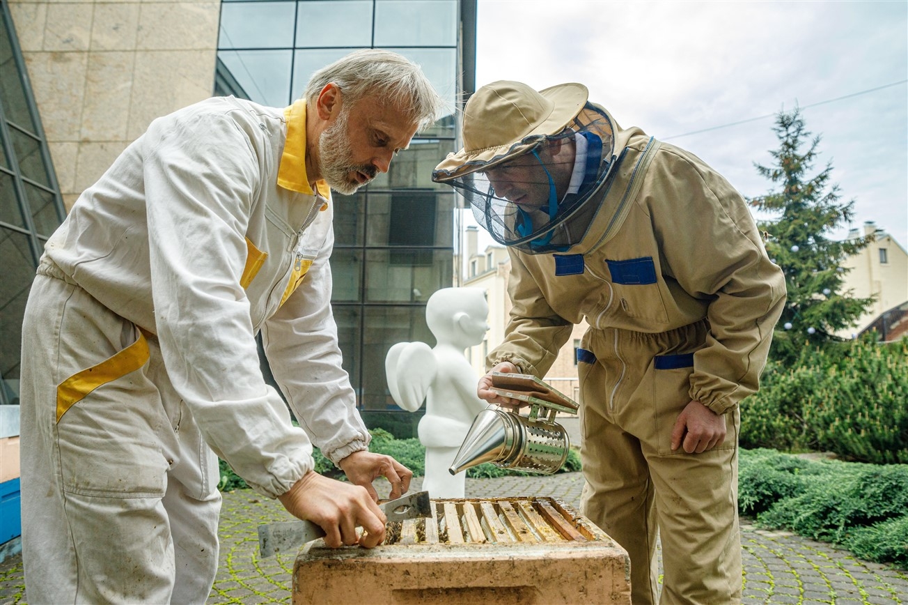 Rīgas domes priekšsēdētājs Mārtiņš Staķis kopā ar urbāno biškopi Uģi Mālnieku apkopj uz terases izvietotos trīs bišu stropus