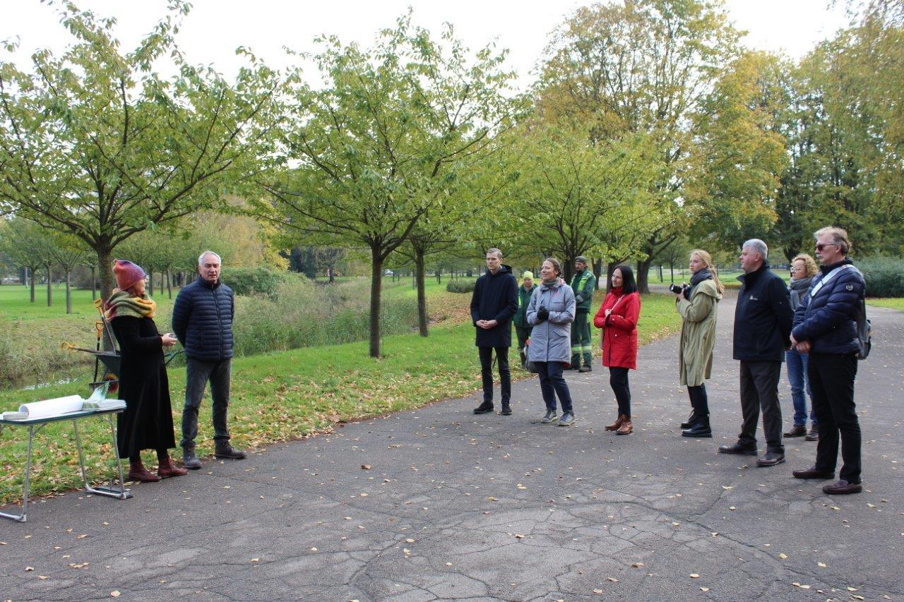 Uzvaras parkā iesēts pirmais kvadrātmetrs urbānās pļavas 