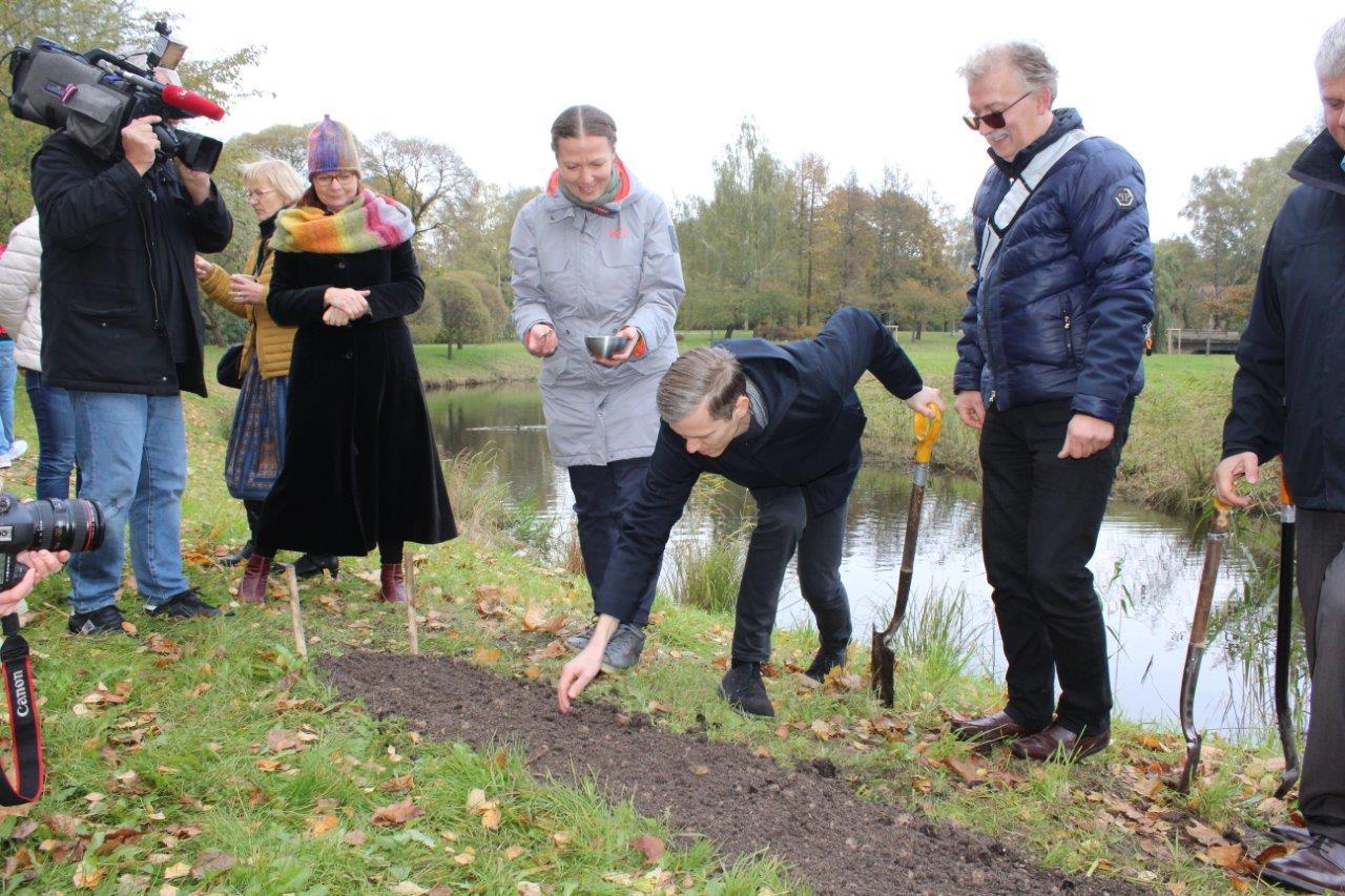 Uzvaras parkā iesēts pirmais kvadrātmetrs urbānās pļavas 