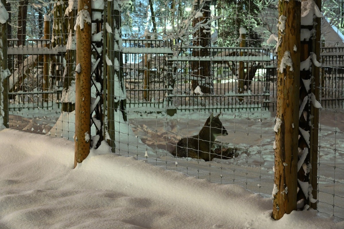 Rīgas zooloģiskais dārzs