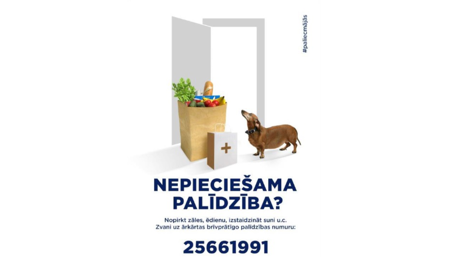 Brīvprātīgo palīdzība