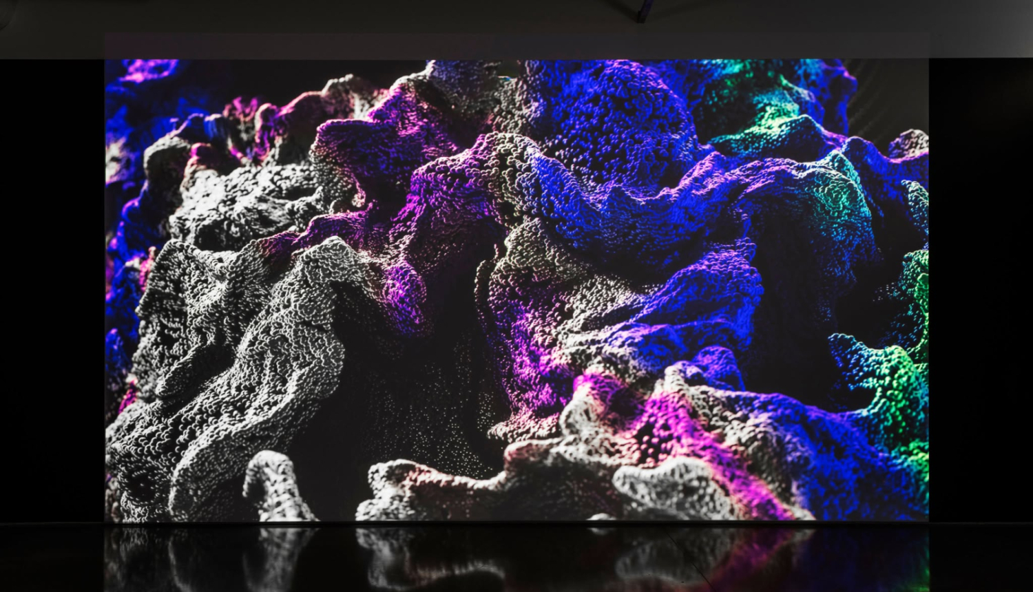 Lesja Vasiļčenko (UANO)