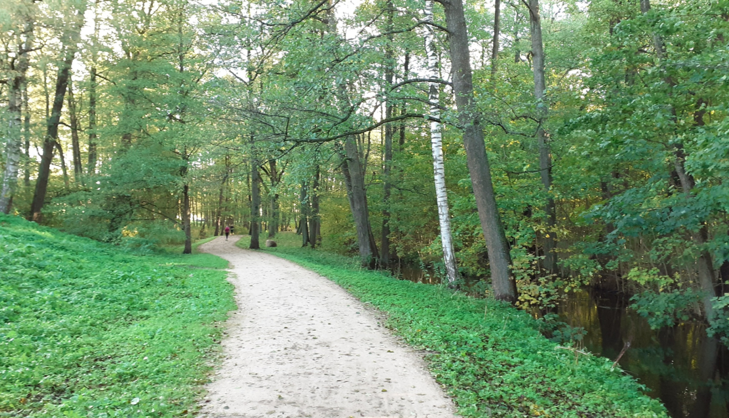 Mārupītes mežaparks