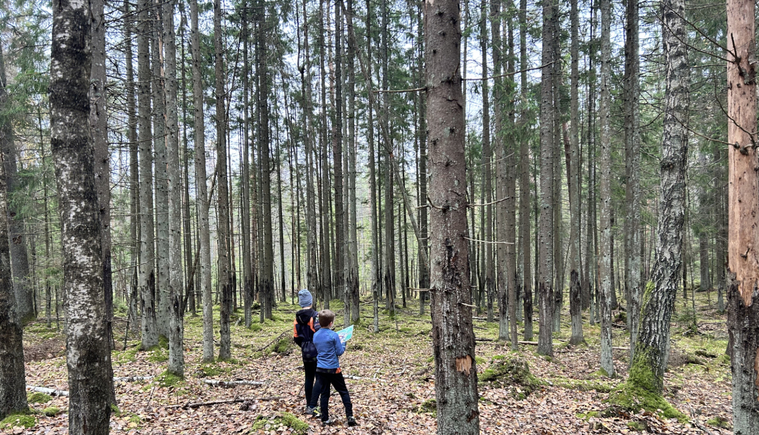 Cilvēki mežā orientējas