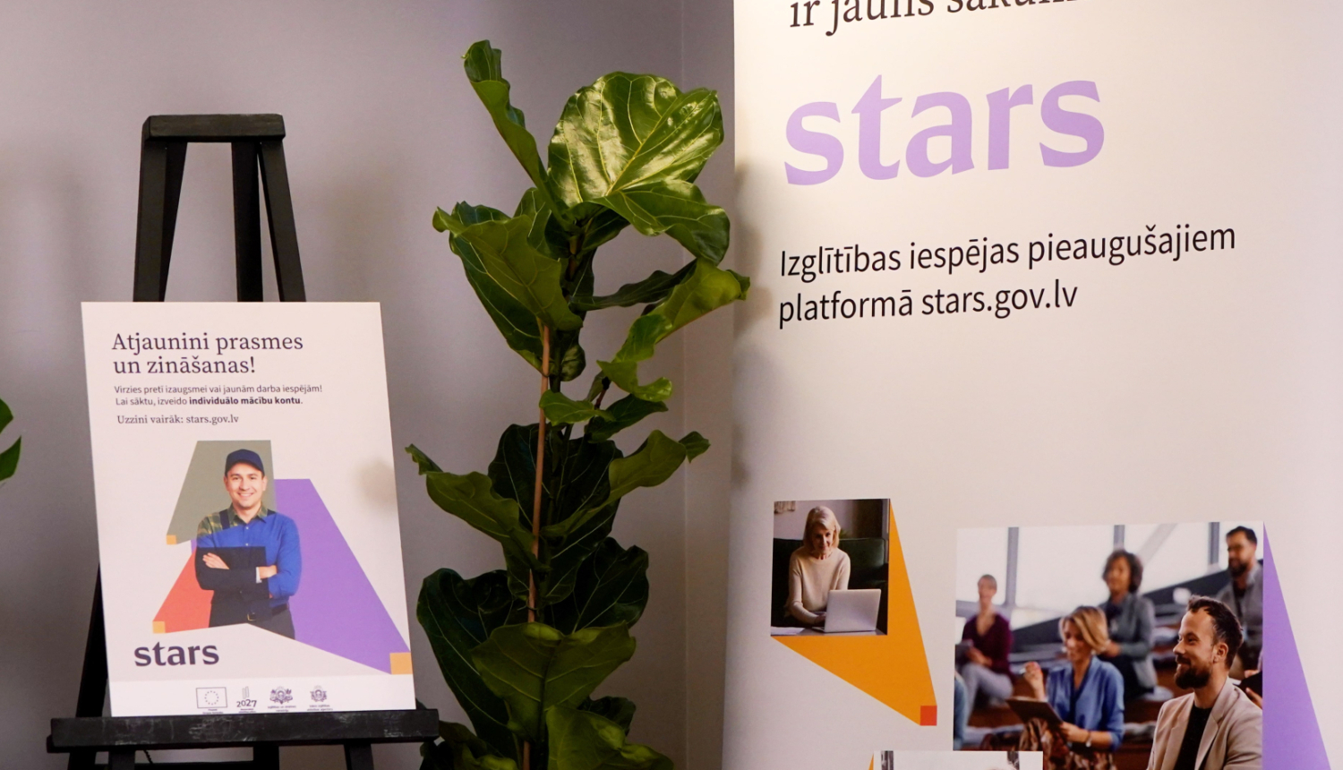 Pieaugušo izglītība, vizuāļi