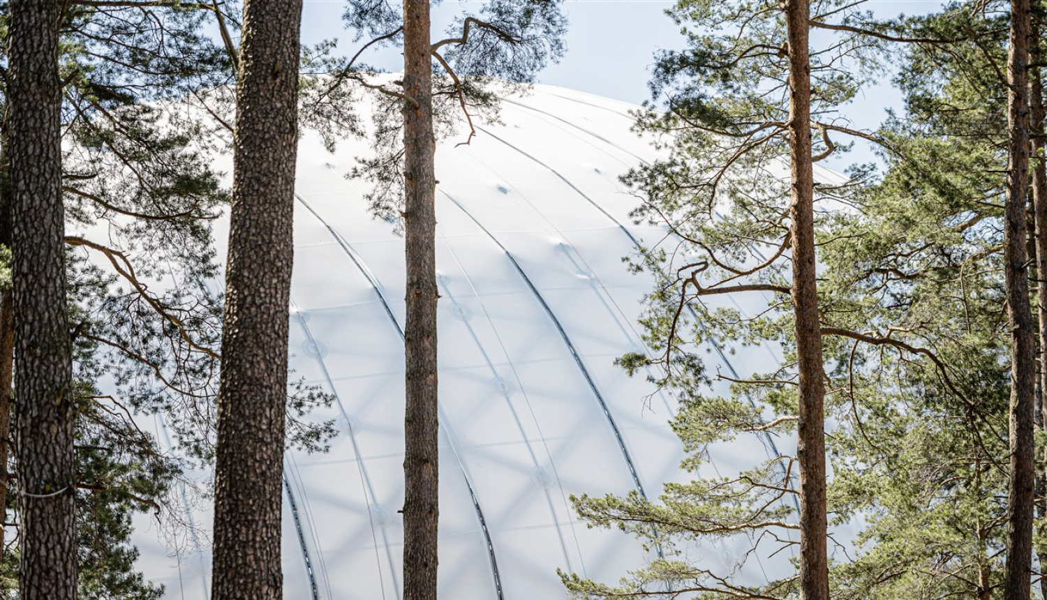 Mežaparka estrādes kupols