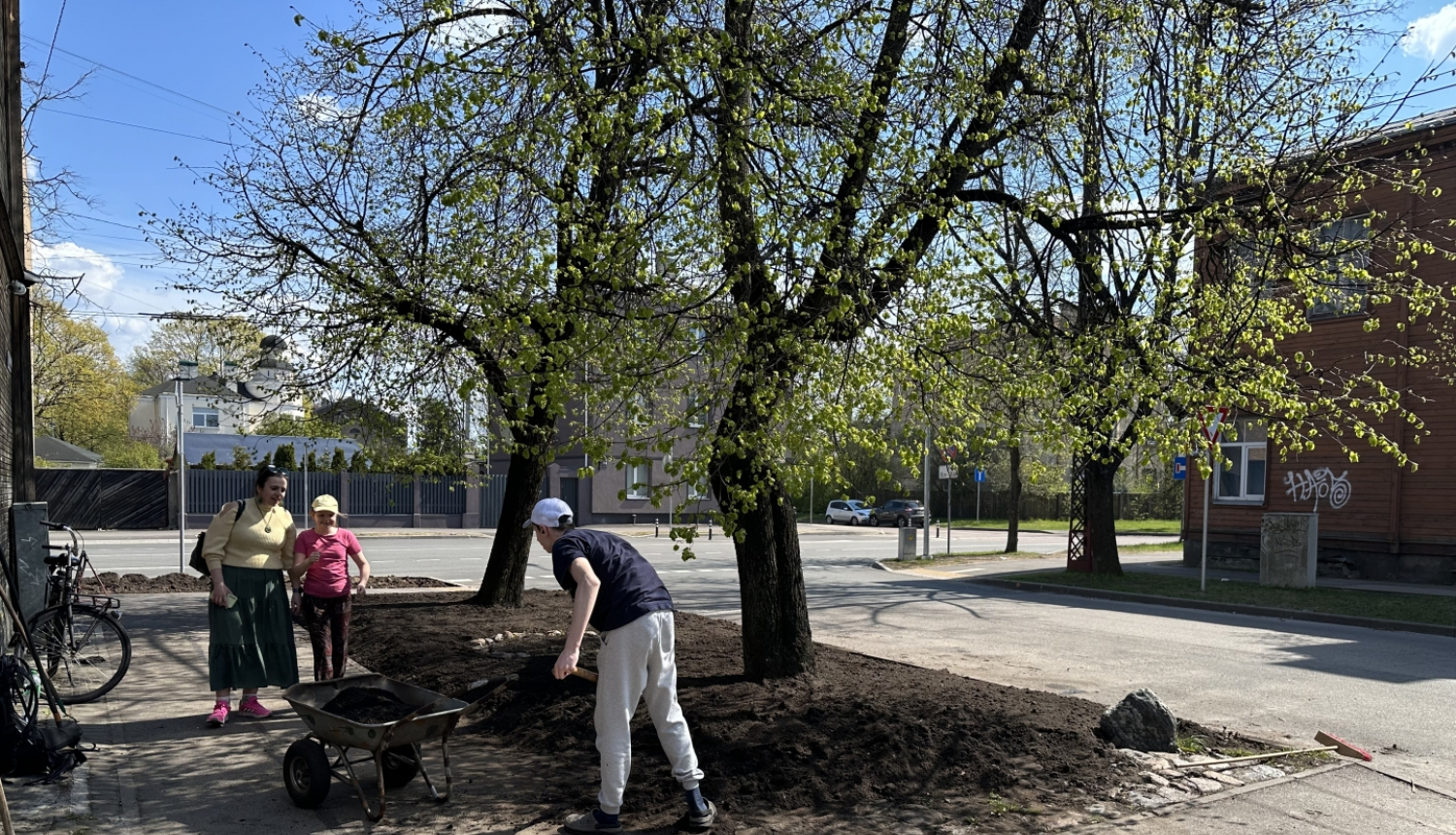 Atjauno apdobes uzberot melnzemi
