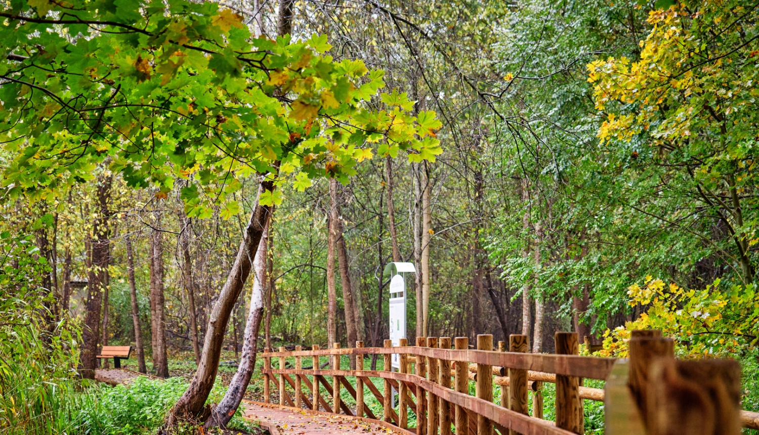 Bukultu pastaigu taka