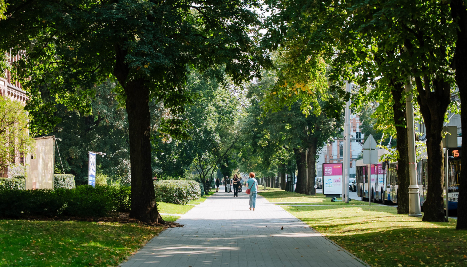 Cilvēki iet pa ielu