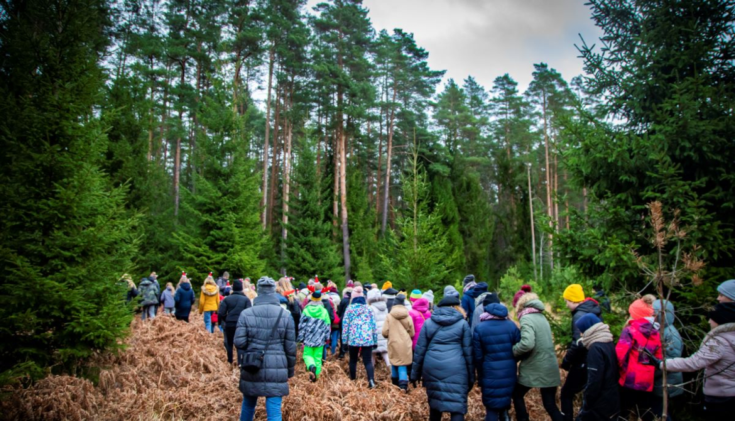 Pa mežu staigā cilvēki
