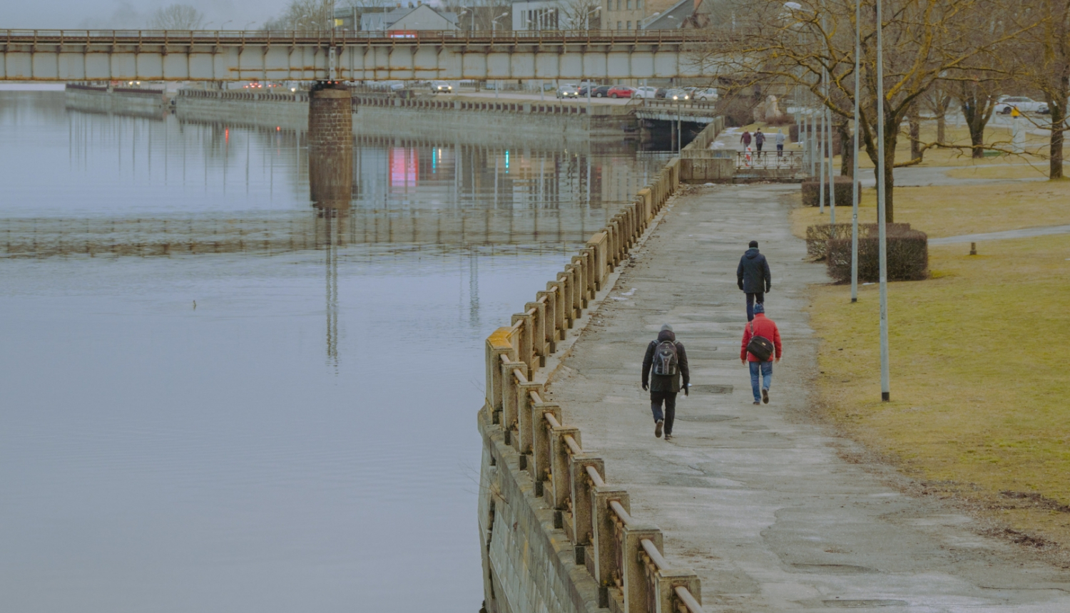 Daugava un Dzelceļa tilta daļa