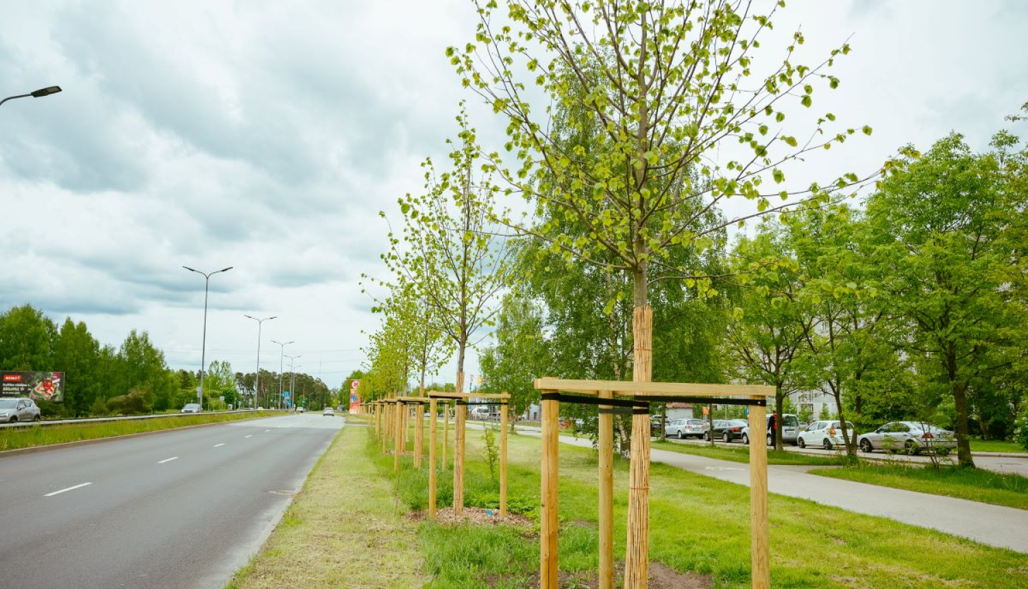 Dižstādi Krasta ielā