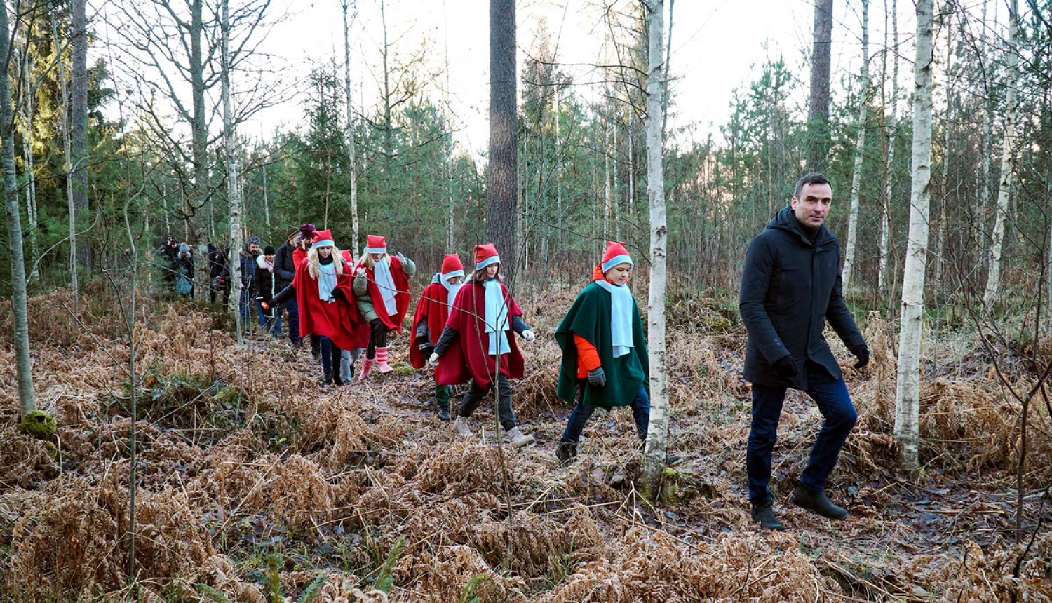 Izraugās Ziemassvētku egli