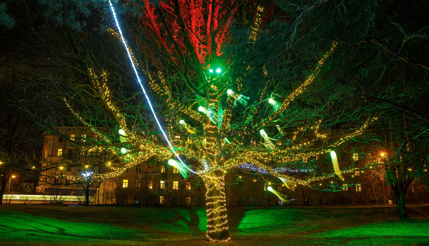 Parks Sarkandaugavā