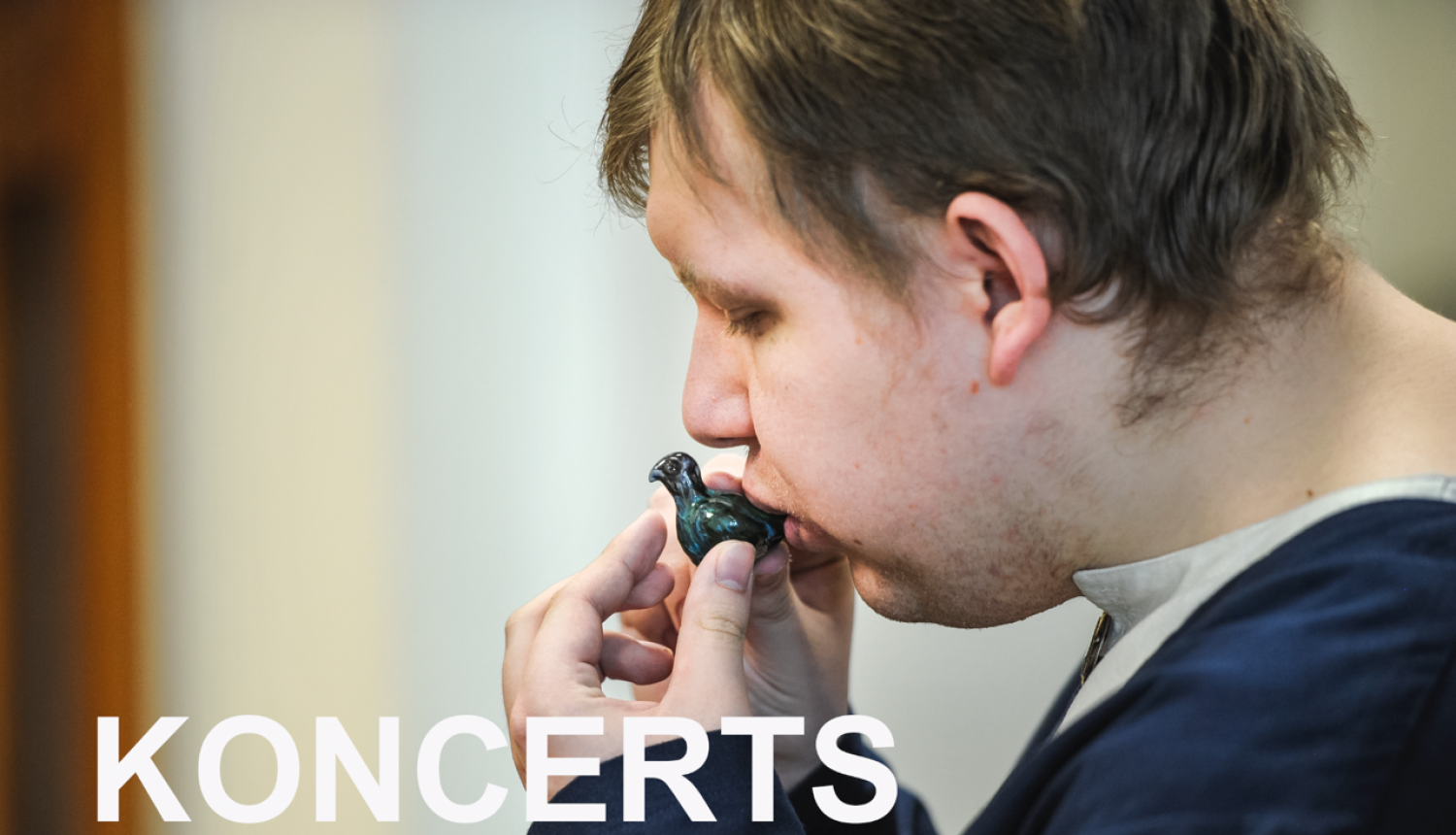 Fotogrāfa Aivara Liepiņa fotoizstādes “Koncerts” vizuālis