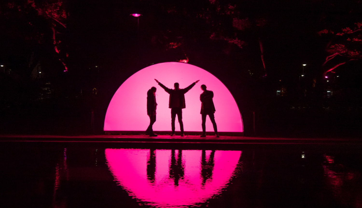  Gaismas instalācija Dārzs, kur saule riet Ziedoņdārzā