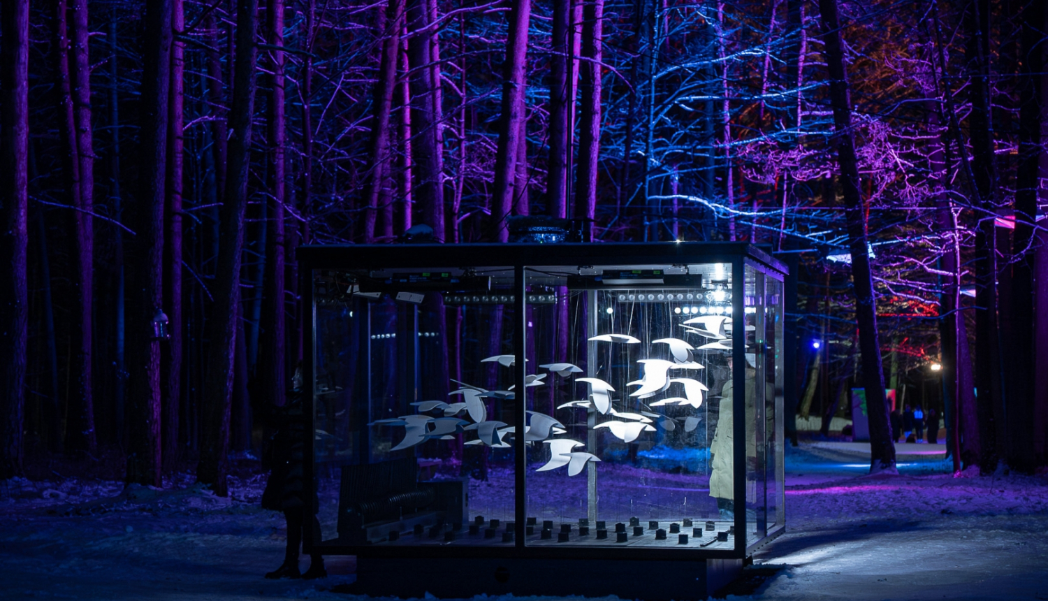 Stikla būrī izgaismoti putni