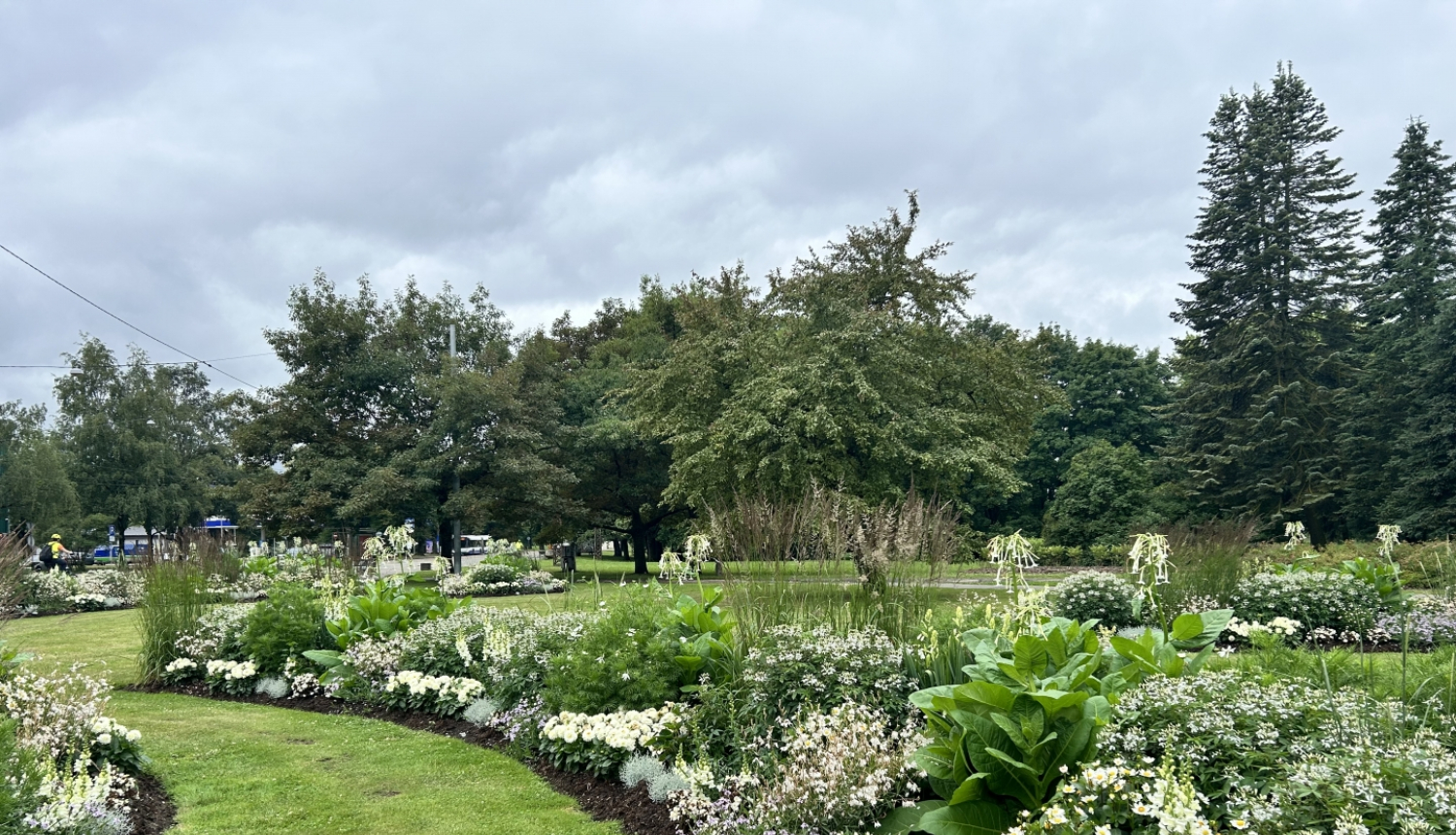 Baltā puķu dobes Uzvaras parkā