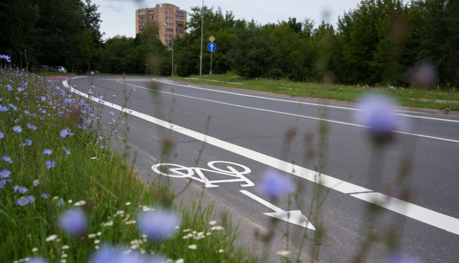 Velo josla Ezermalas ielā