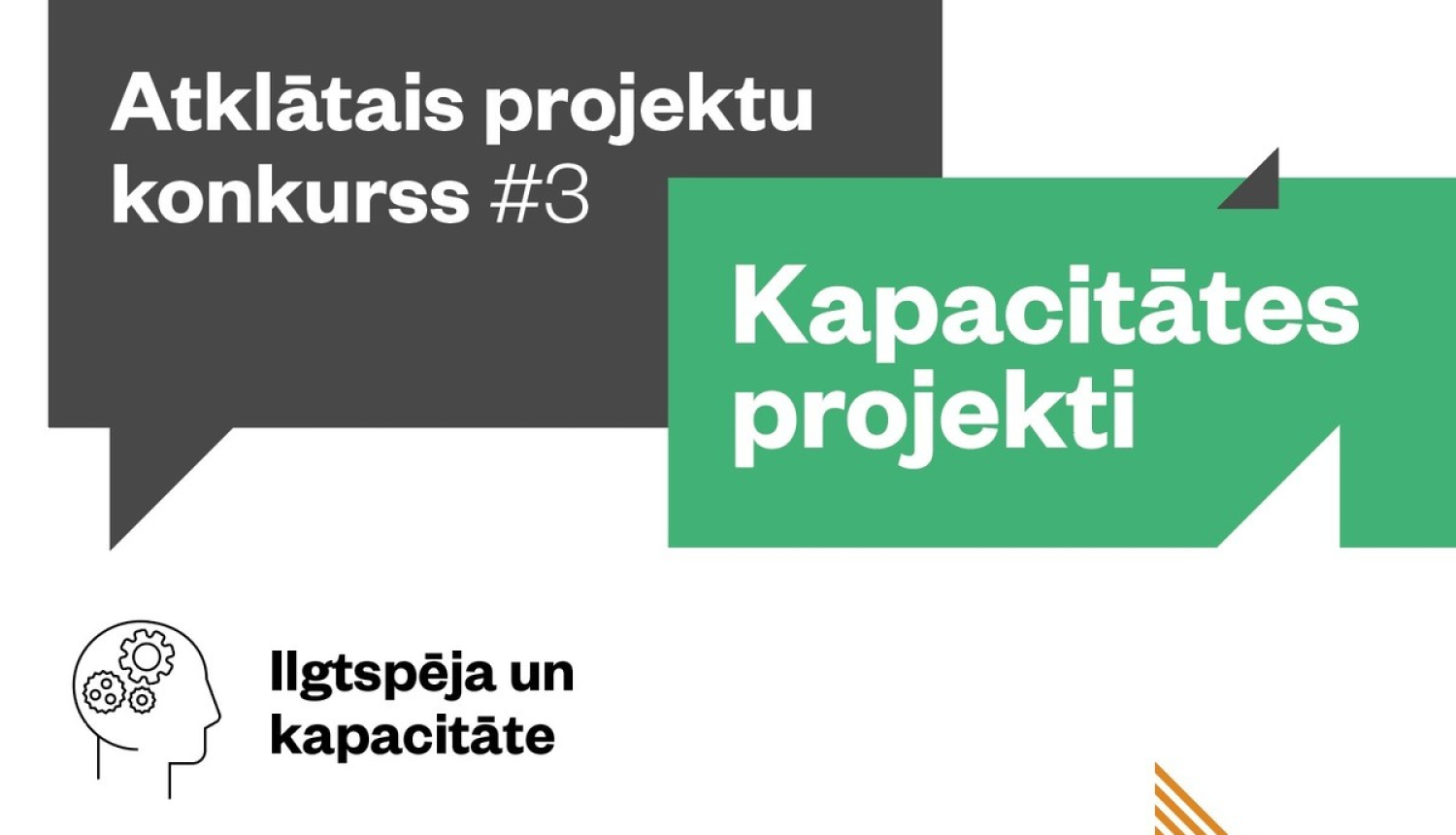 Projektu pieteikumi organizācijas kapacitātes stiprināšanai