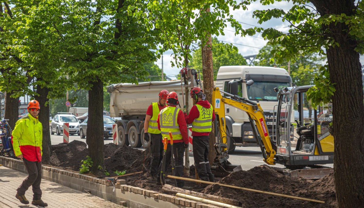 Saglabā kokus 11.Novembra krastmalā