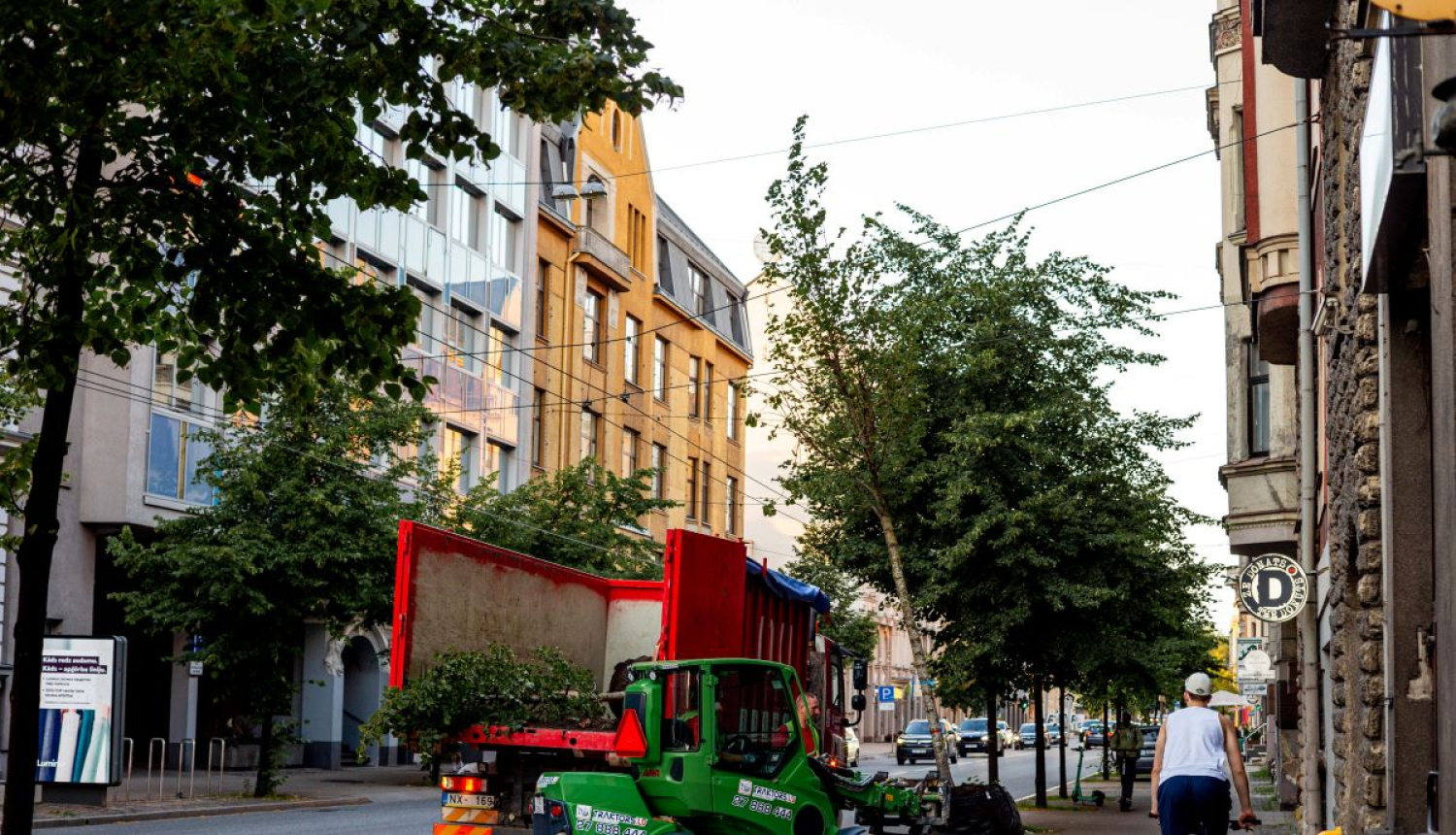 Koku stādīšana Rīgas centrā