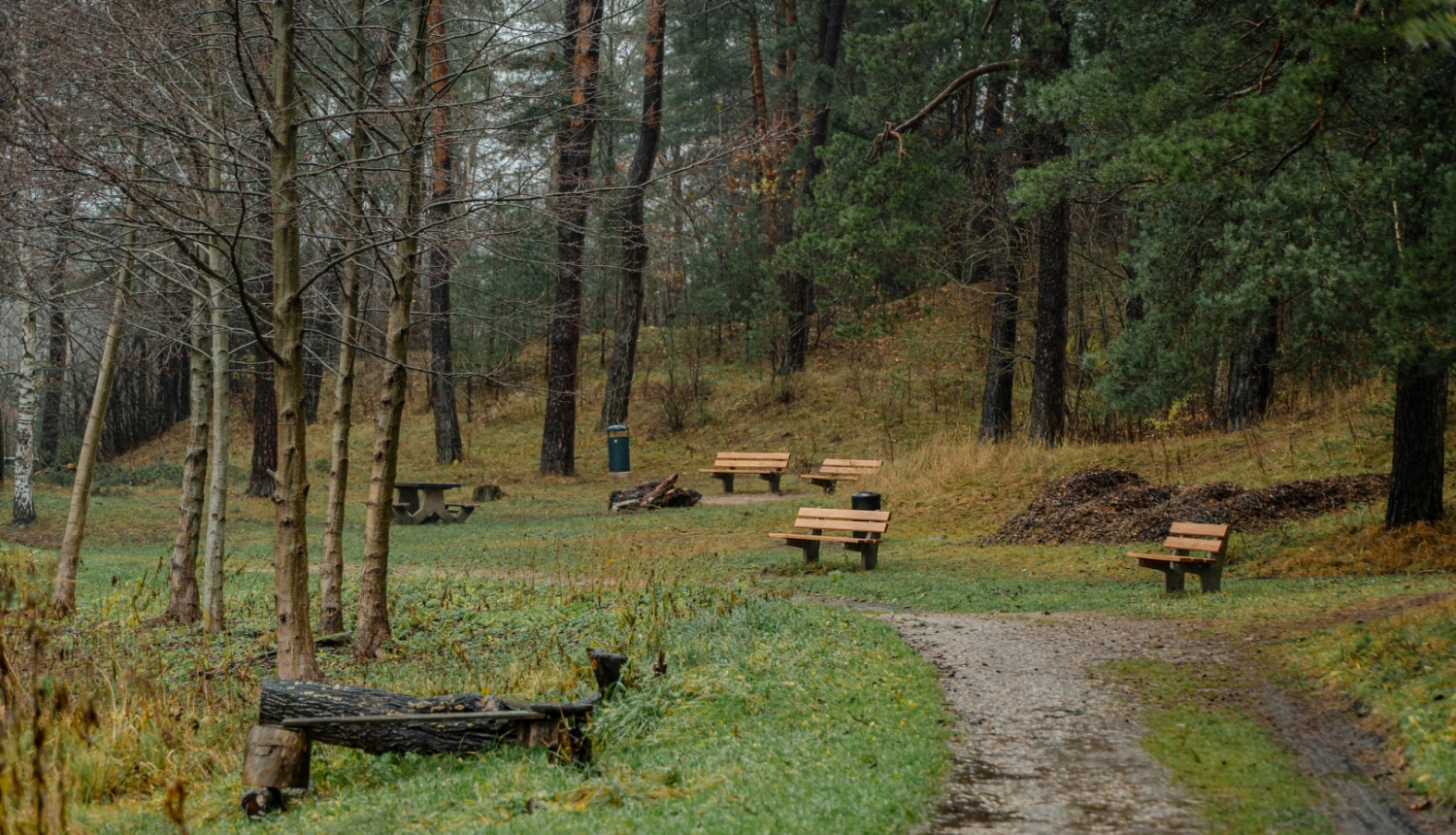 Atpūtas soliņi mežā