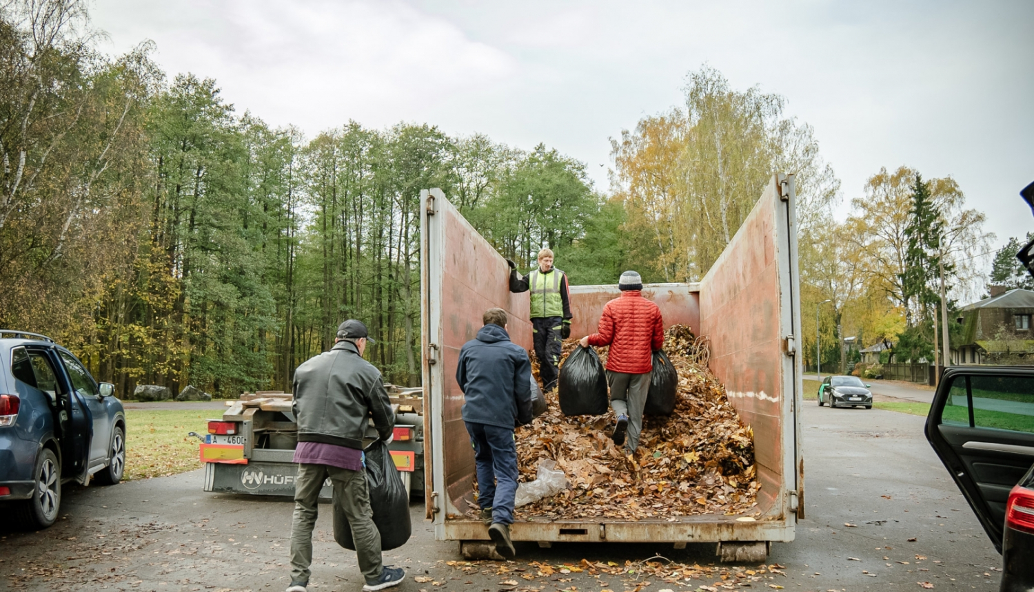 Nodod savāktās koku lapas
