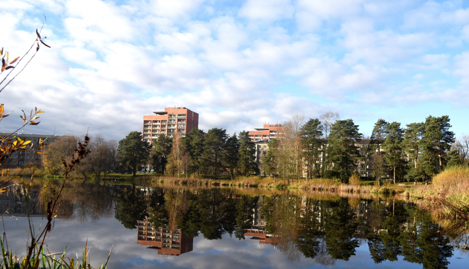 Velnezers un daudzdzīvokļu mājas