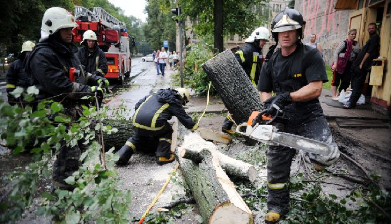 Ugunsdzēsēji atbrīvo brauktuvi no nolauztiem kokiem