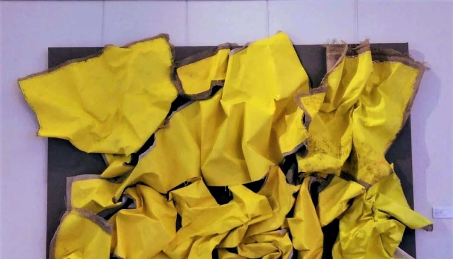 Lindas Kozules darbs Šajā straumē