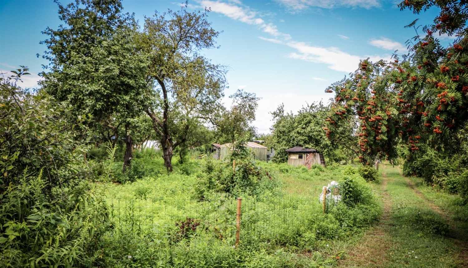 Mazdārziņu teritorija