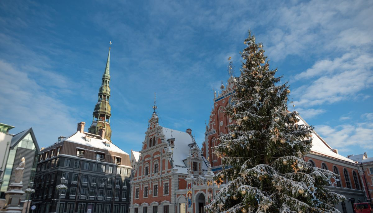 Melngalvju nams un Ziemassvētku egle