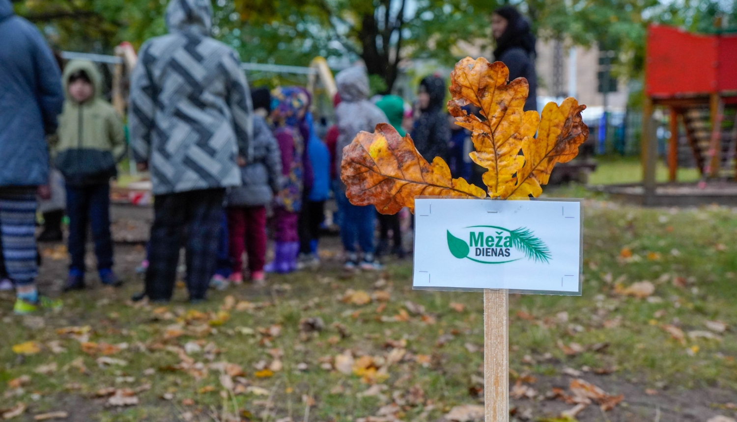 Meža dienas plakāts